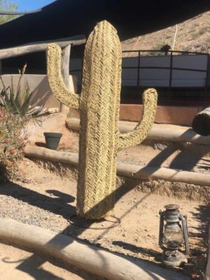 cactus déco